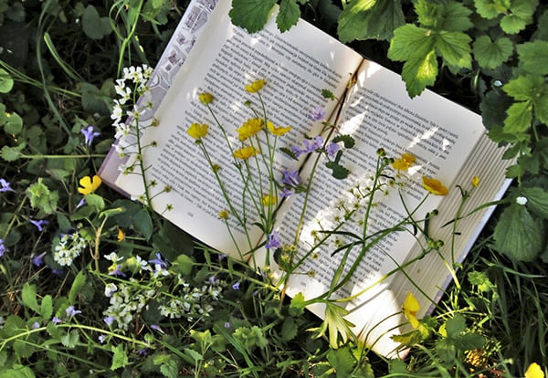 I'm looking for guides and books on mental health 