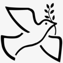 Funeral Mass Brandy Schell | Misa Funebre Para Brandy Schell