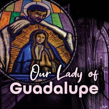 Apparition of Our Lady of Guadalupe | Aparicion de La Virgen de Guadalupe