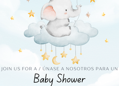 Baby Shower - Gabriel Project