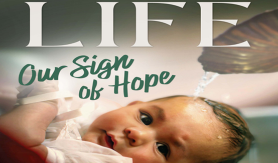 Respect Life Sunday 2025
