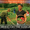 CATHOLIC CAMPAIGN FOR HUMAN DEVELOPMENT (CCHD)