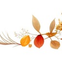 Autumn Fest