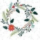 Christmas Flowers