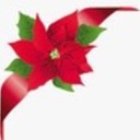 Christmas Flowers