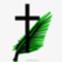 A Reflection on Palms