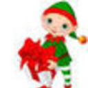 Christmas Flowers