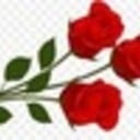 Roses for Moms - Knights of Columbus