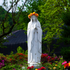 A Day with Mary
