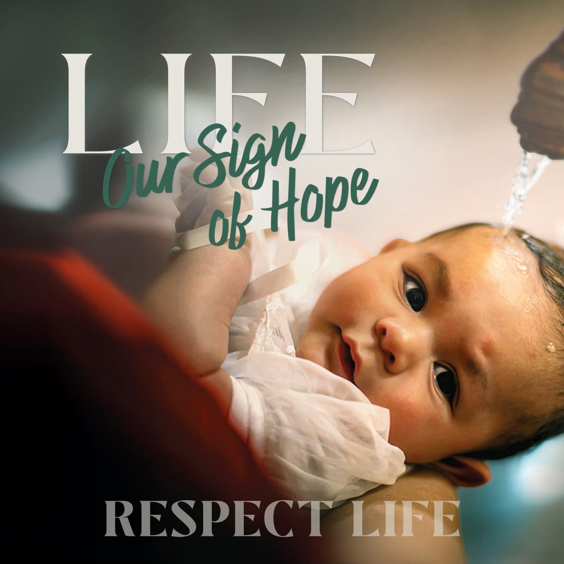 Respect Life
