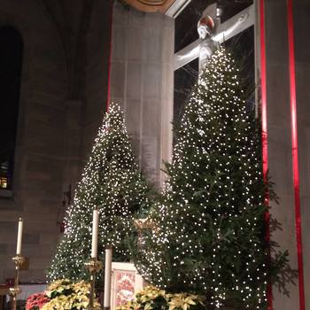 Happy New Year! Here's Our Coverage of Christmas and New Year's at St. Ann!