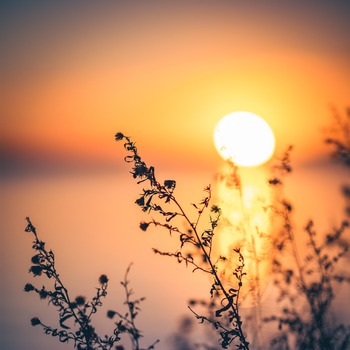 Five-star features that simplify website management [webinar]