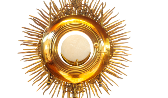 Adoration Closed Thanksgiving Week