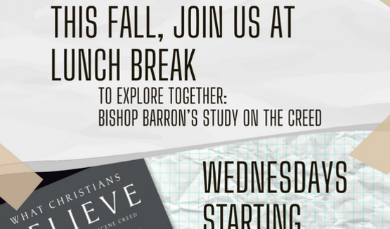 Bishop Barron’s Study on the Creed