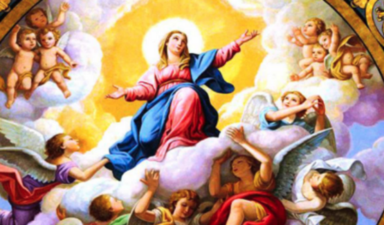 Assumption of the  Blessed Virgin Mary