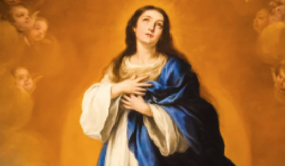 Solemnity of the Immaculate Conception of the Blessed Virgin Mary