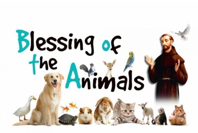 Blessing of the Animals!