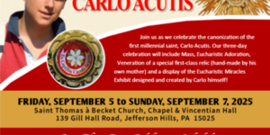 Celebrate the Canonization of Carlo Acutis, the first Millennial Saint