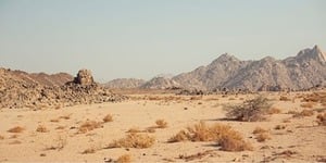 Holy Thursdays of Lent