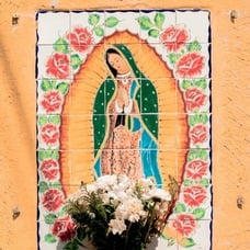 Viva Our Lady of Guadalupe!