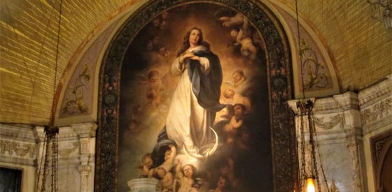 Solemnity of the Assumption of the Blessed Virgin Mary