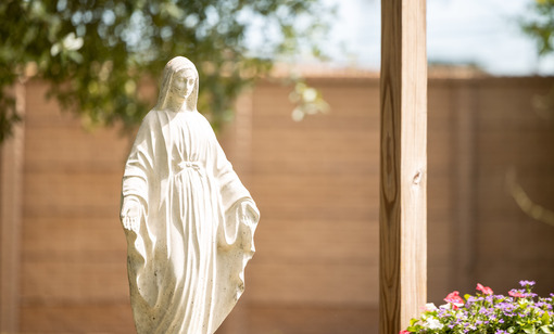 Pastoral Message from Father James Misko, Diocesan Administrator