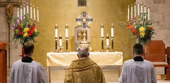 Holy Trinity Seminary Come and See