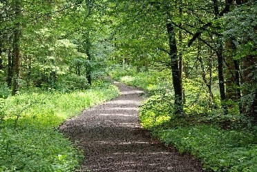 mountain trail