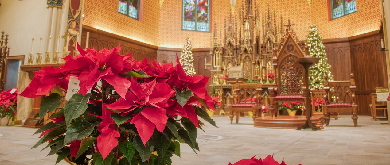 Help us decorate our churches for Christmas