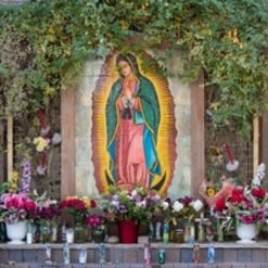 Celebrating Our Lady of Guadalupe