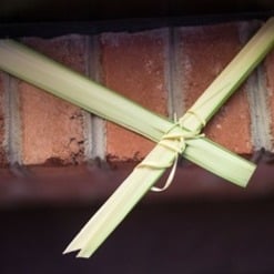 Archbishop Checchio Prepared for First Holy Week in New Orleans