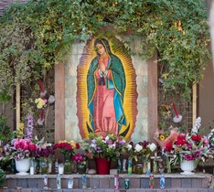 Celebrating Our Lady of Guadalupe
