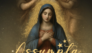 Assumpta 2026