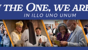 Diocesan Services Fund (DSF)