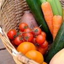 Monthly Collection for the Handmaids