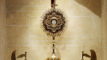 Youth and Family Adoro Te