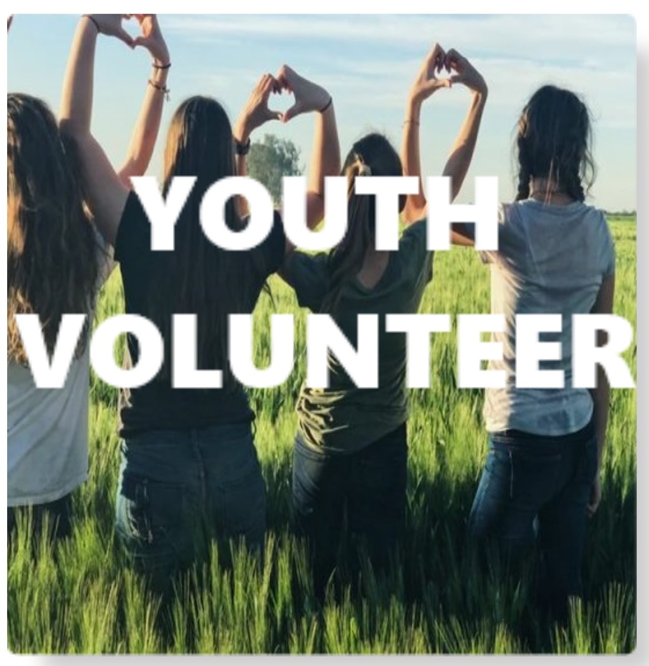 Youth Ages(12-17) Volunteer