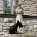 BLESSING OF THE ANINMALS