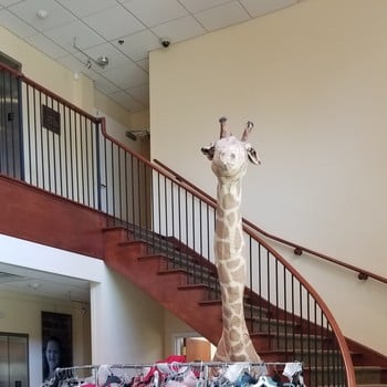 DPD's Fight for the Right Group Gives to Project Self Sufficiency