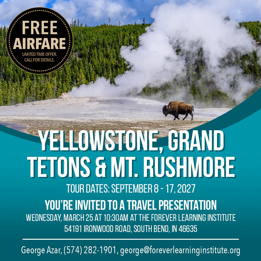 A Buffalo Stands in a Forest with a Geyer Erupting in the Background