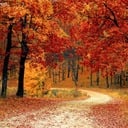 Thanksgivings Day Masses