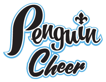 AOL CHEER TRYOUTS