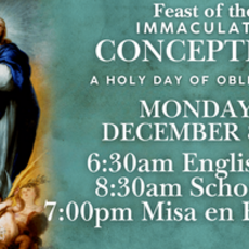 Immaculate Conception of the Blessed Virgin Mary (Holy Day of Obligation)