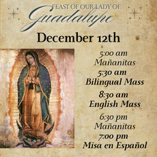 Our Lady of Guadalupe