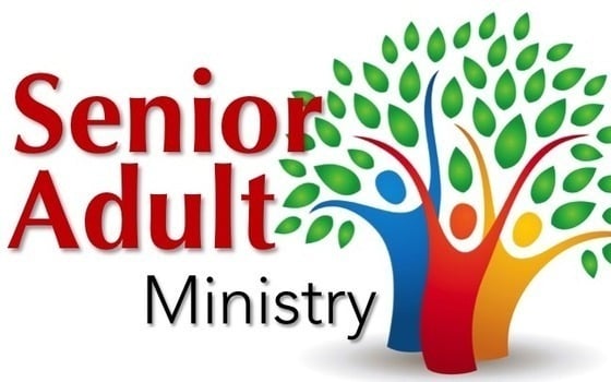 Senior Adults Luncheon at Brio 33