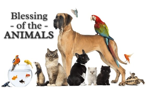 ​Blessing of the Animals