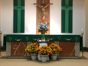 Church Environment: Flowers in Our Church