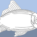 Fish (Cod) & Salmon Patties for Sale