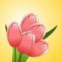 March 23 - Splash of Spring Craft Show