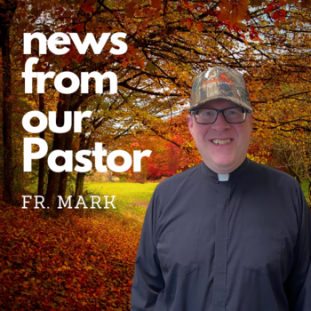 Father Mark's Letter for October 31